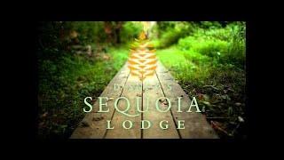 Disneyland Paris - Sequoia Lodge Hotel [SONGS]- Best New