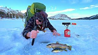 24h SOLO Ice Fishing Survival Challenge! NO FOOD NO WATER! (Catch, Cook, Camp)