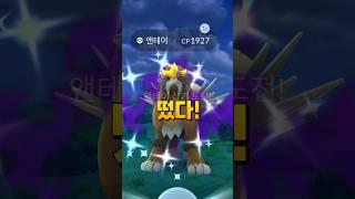 앤테이 이로치 확률#쌈밥tv #포켓몬고 #그림자 #이로치 #shiny #entei #shadow #pokemongo