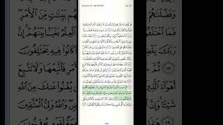 { هَـٰذَا بَصَـٰۤائرُ لِلنَّاسِ وَهُدࣰى وَرَحۡمَةࣱ لِّقَوۡمࣲ یُوقِنُونَ }