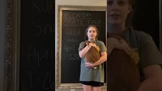 FLORIDA STATE FAIR RABBIT SHOW pre-fair promotional video (Kathryn Healy)