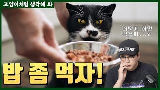 고양이가 밥 잘 먹게 하는 TIP feat.밥상머리 교육