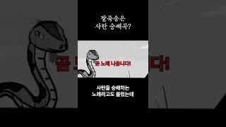 그 시절의 팥죽송 괴담