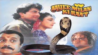 AAYEE MILAN KI RAAT 1991 Devotional Snake Movie