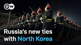 How will NATO respond to Russia's use of North Korean troops? | DW News