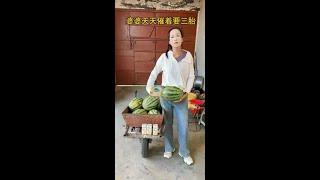 #奥运剧有戏 婆婆天天催着要三胎，今天给她一个惊喜