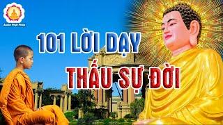 101 Lời Phật Dạy Hay Nhất Trong Cuộc Sống, Giúp Đắc Nhân Tâm Thấu Biết Sự Đời