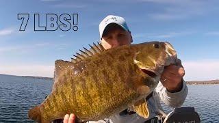 7 Pound Smallmouth Bass! Michigan Monster!