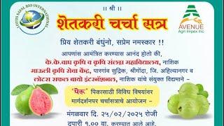 अहिल्यानगर,श्रीगोंदा येथे 25 फेब्रुवारी 2025 रोजी पेरूशेती मार्गदर्शन शिबिर-