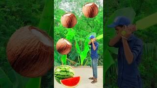 Rounding video coconut watermelon lichi mango grapes VFS #comedy​​​ #trend​​​ #vfs #funny​​​ #short