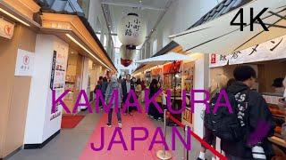 4K鎌倉小町通りから鶴岡八幡宮Kamakura komachi street〜TSURUGAOKAHACHIMANGUwalking around#japanview#kamakura#鎌倉