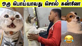 உண்மையான காதல் சார் | என்னடா நடக்குது இங்க | Hoomans