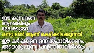 Farmer | Story | ഈ കുമ്പളങ്ങ ആരെങ്കിലും മേടിക്കുമോ. രണ്ടു ടൺ ആണ് കെട്ടിക്കിടക്കുന്നത്