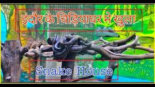 Indore Snake House | Snake House In Indore | Indore Zoo | HAQ SE INDORI