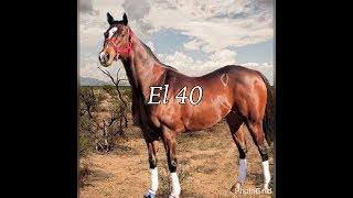 El 40 Vs El Rolex 400 Yardas - Carreras de Phoenix Arizona - Mexican Horse races