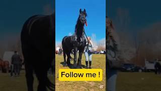 Otni Udari #horse #ot #uloq #kopkari #india #hindi #trending #trend #shorts #like #subscribe #live