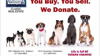 Coldwell Banker Classic Real Estate Adopt a Dog