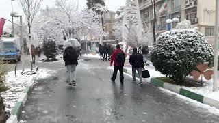 Snowing Amirkabir University ( Tehran Polytechnic ) 2023 - 4K HDR | روز برفی دانشگاه صنعتی امیرکبیر