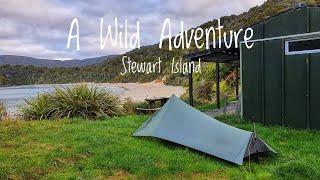 11 Days Hiking and Camping in the Wild | Stewart Island NZ - North West + Southern Circuit Pt.1