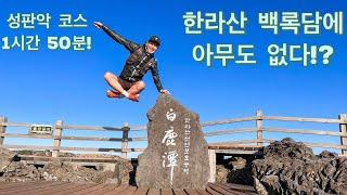 한라산 백록담을 빠르게 오르면 얼마나 걸릴까? / 성판악 등산코스 / 트레일러닝