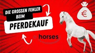 Die 7 großen Fehler beim Pferdekauf - Darauf solltest du achten! Team ehorses Tipps & Tricks