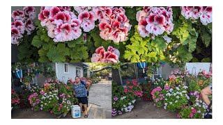 tour de jardín de mi mamá del mes de abril del 2024