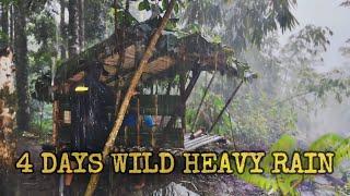 Wild HEAVY RAIN Camping in 4 Days‼️Wild Camping in Heavy Rain with Thunderstorm in 4 Daye‼️