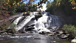 Dupont State Recreational Forest 2022 (Cedar Mountain, NC)