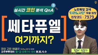 [코주부투데이] 쎄타퓨엘, 여기까지?