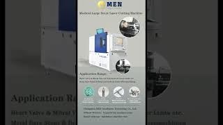 Precision Laser Cutting Machine/Laser Cutter