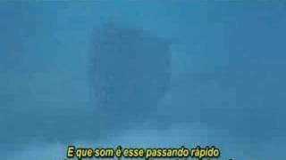 Pensamento de uma baleia em queda livre