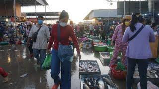 Early Morning Fish Market at Prek Phnov Bridge - Walking Tour Around Fish Market @Prek Phnov Morning