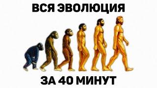 Вся эволюция человека за 40 минут