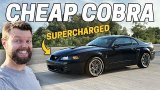 I Bought the CHEAPEST Running Terminator Mustang SVT Cobra!