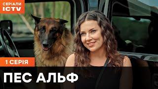 Пес Альф 1 сезон 1 серія | ДЕТЕКТИВИ | СЕРІАЛ  ICTV| КОМЕДІЇ | ПРЕМ'ЄРА