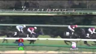 2014年 東風ステークス