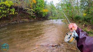 Fly Fishing High Water for BIG Brown Trout!