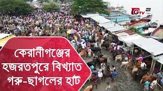 কেরানীগঞ্জের হজরতপুরে বিখ্যাত গরু-ছাগলের হাট | Hazratpur Garur Hat | Sobuj Bangla