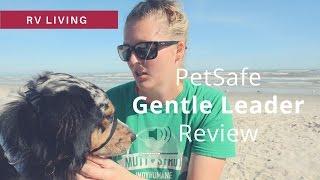 PetSafe Gentle Leader Review