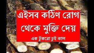 চুই-ঝাল কেন সকলের খাওয়া উচিত ??? Benefits of Chui-Jhal