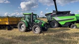 Kombajn DEUTZ-FAHR C6205 TS podczas pracy