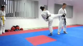 Karate klub "Shotokan" - TRENING