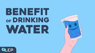 Why should we drink more water? | ️ 8 Minute English