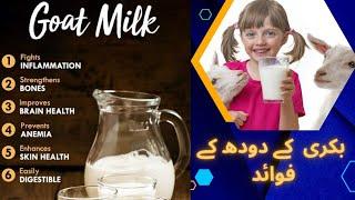 Goat Milk Benefits ll Bakri K Doodh K Faidy