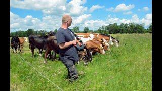 DVHN Live: Waarom is stikstof zo bedreigend en hoe zit het in andere landen?