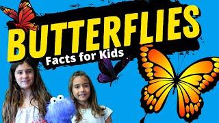 Butterfly Facts for Kids | Butterfly Life Cycle