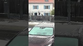 Supărat pe vecin. #viral #viralvideo #germany #funny #romania #love