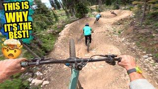 THIS IS WHY RIDING MTB DOWNHILL IN CANADA IS THE BEST!