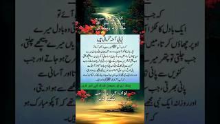 Peaceful pathways #ahadessmubarak #lovemuhammadsaww