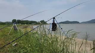 강화도숭어낚시  숭어 농어 낚시포인트 바람이 불어  불어와서~~~^^#프리랜서 노부장 #fishing